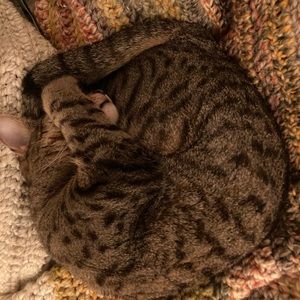 Meet your Posher, Jessica